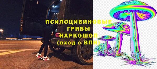 спиды Аркадак