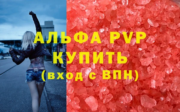 спиды Аркадак