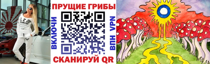Псилоцибиновые грибы GOLDEN TEACHER  Нязепетровск 